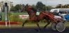 trot